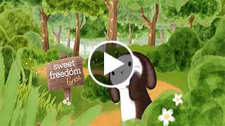 Watch Video - Sweet Freedom Forest